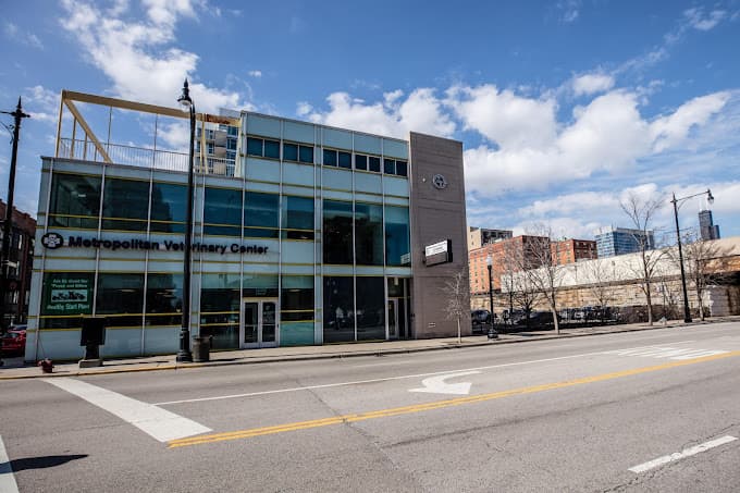 Dental Group of Chicago