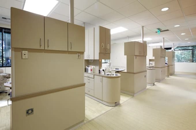 Lifetime Smiles Bellevue