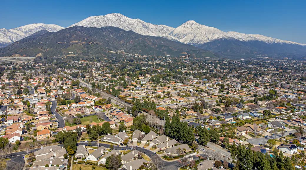 Upland